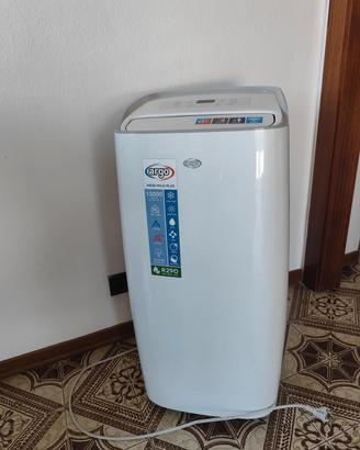 condizionatore portatile  caldo freddo pinguino