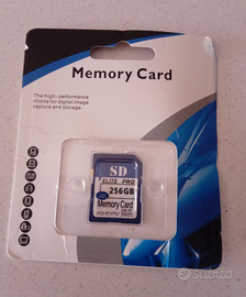 Memory Card 256 Giga