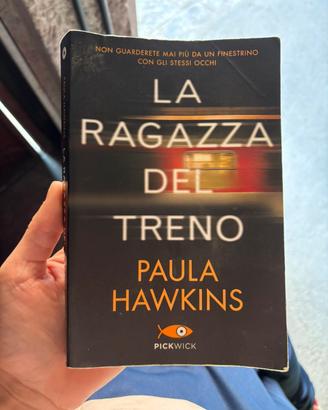La ragazza del treno