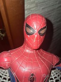 Spider Ma. 2017 