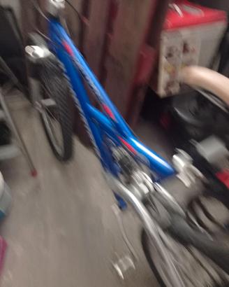 Bicicletta uomo da 26