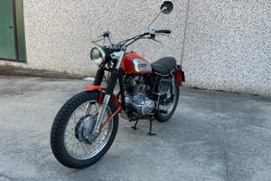 Ducati scrambler 350