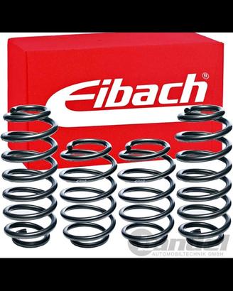 Molle eibach pro ribassate