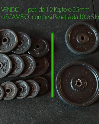 Dischi pesi per palestra da 1-2 Kg 25mm o cambio