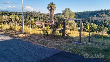 terreno agricolo 