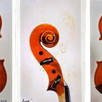 Violino