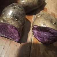 1kg patate viola vitellotte da semina