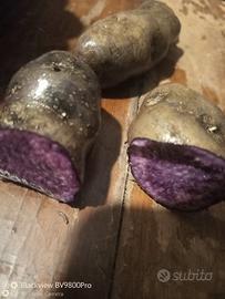 1kg patate viola vitellotte da semina