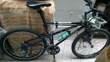 Bianchi ragno thomisus