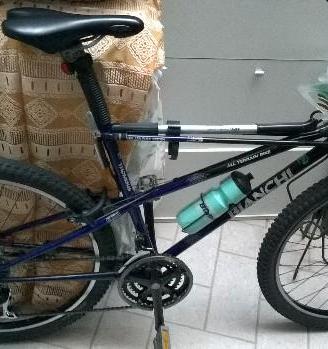Bianchi ragno thomisus