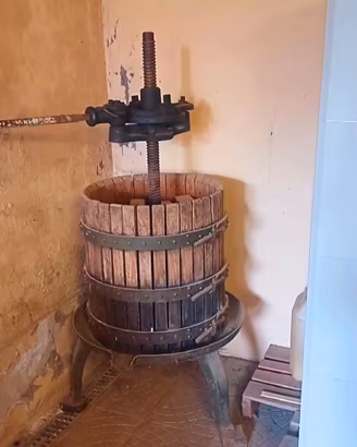 Torchi per uva