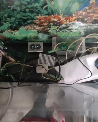 Acquario con mobiletto