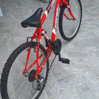 bicicletta taglia 24