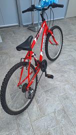 bicicletta taglia 24