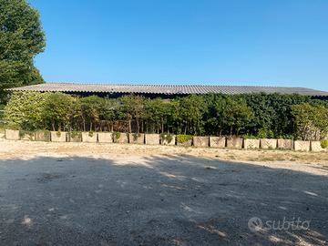 Giardino con vasconi