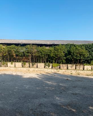 Giardino con vasconi