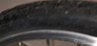 bicicletta da ragazza