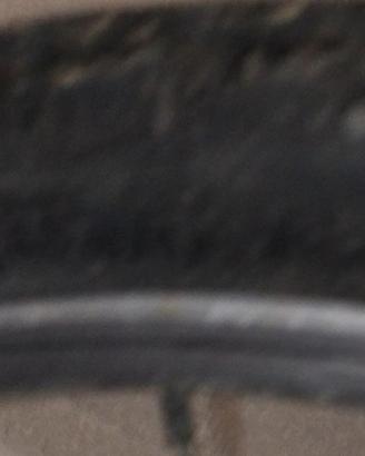 bicicletta da ragazza