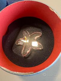 Stella marina swarovski