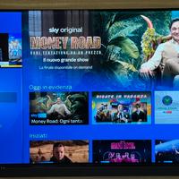 TV OLED 65 pollici LG CX6