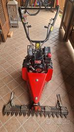 Motofalciatrice a motore