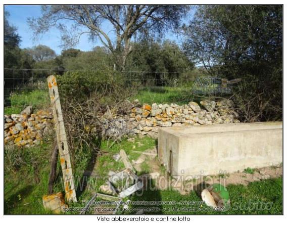 Terreno Agricolo Olbia [A4348493] - Vista 3