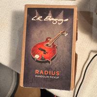 LR Baggs radius pick up mandolino