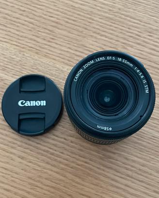 Canon EF-S 18-55mm f/3.5-5.6 IS STM