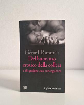 Del buon uso della collera – NUOVO – Pommier