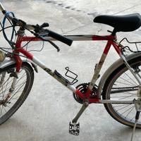 Bici MTB