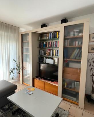 Mobile Libreria Molteni 505