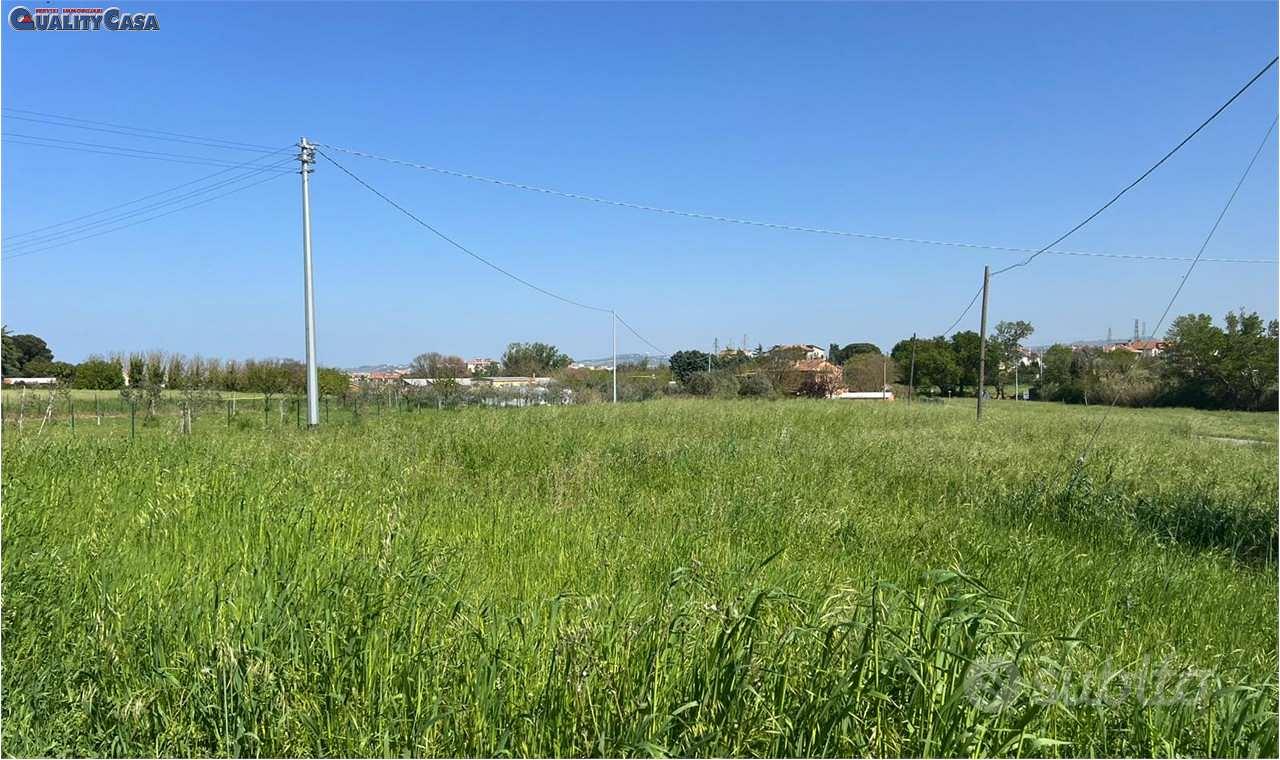 Terreno agricolo a Monte San Vito - Vista 5
