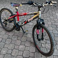 Bicicletta sportiva mountain bike