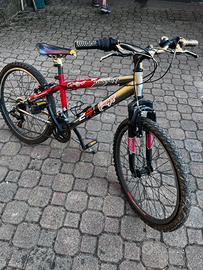 Bicicletta sportiva mountain bike