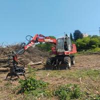 Escavatore forestale OP T800T