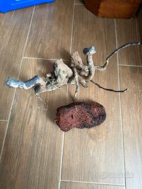 Legno e roccia per acquario