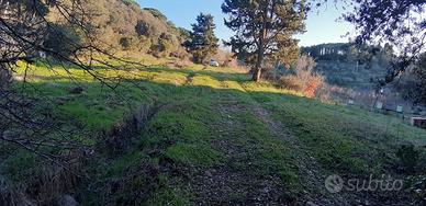 Terreno Agricolo Livorno [Cod. rif 3163382VCG]