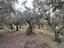 Immagine 25