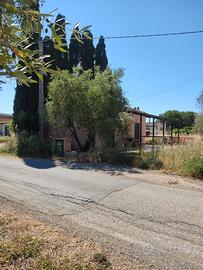 Terreno più annessi