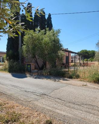 Terreno più annessi