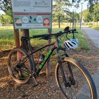 bici mtb 29 carbonio 