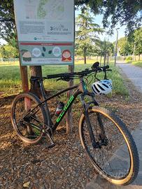 bici mtb 29 carbonio 