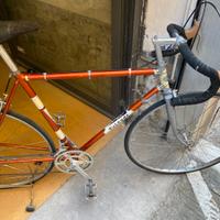 Bicicletta Torpado adatta Eroica