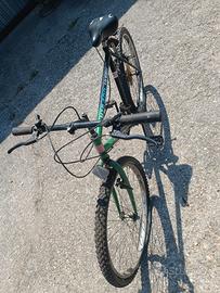 Mountain bike uomo/ragazzo con cambio shimano