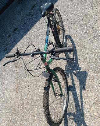 Mountain bike uomo/ragazzo con cambio shimano