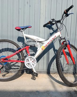 mountain bike