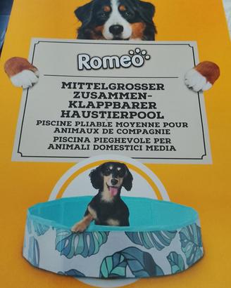 piscina per cani