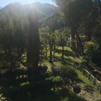 Immerso nel verde