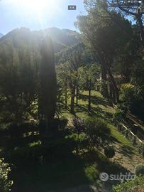 Immerso nel verde