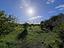 Immagine 24